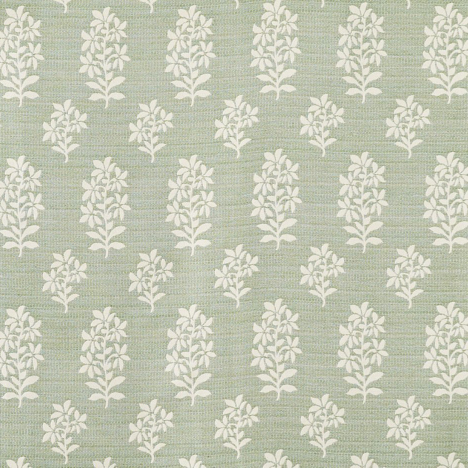 Asha Performance | PDT - Pale Green