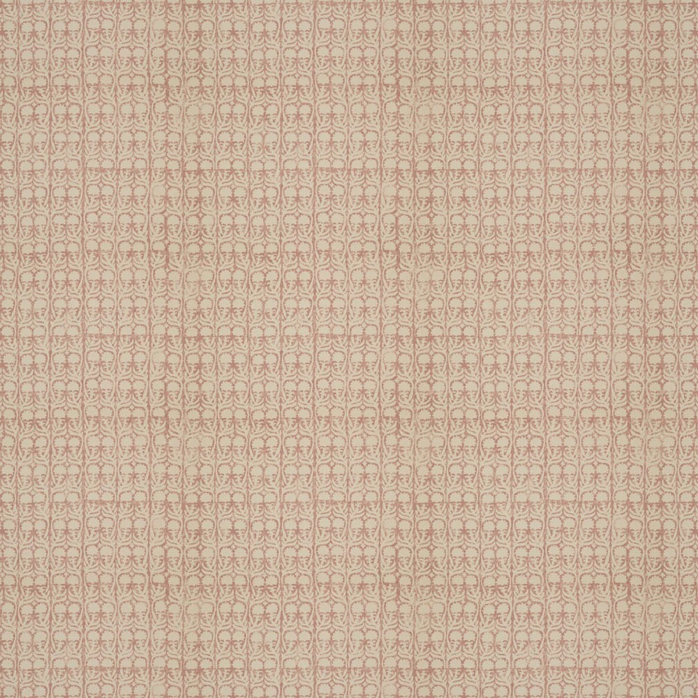Ashok Performance | PM - Pink
