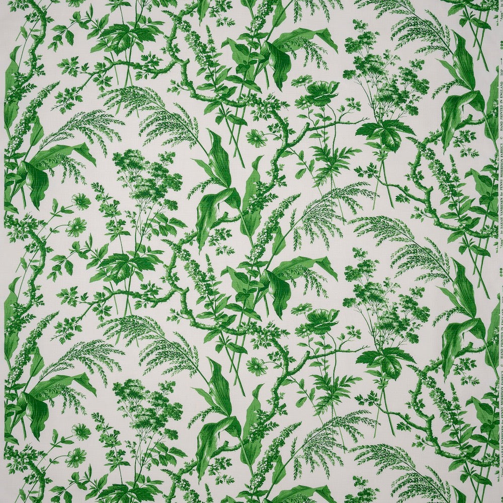 Aspa | SV - Green