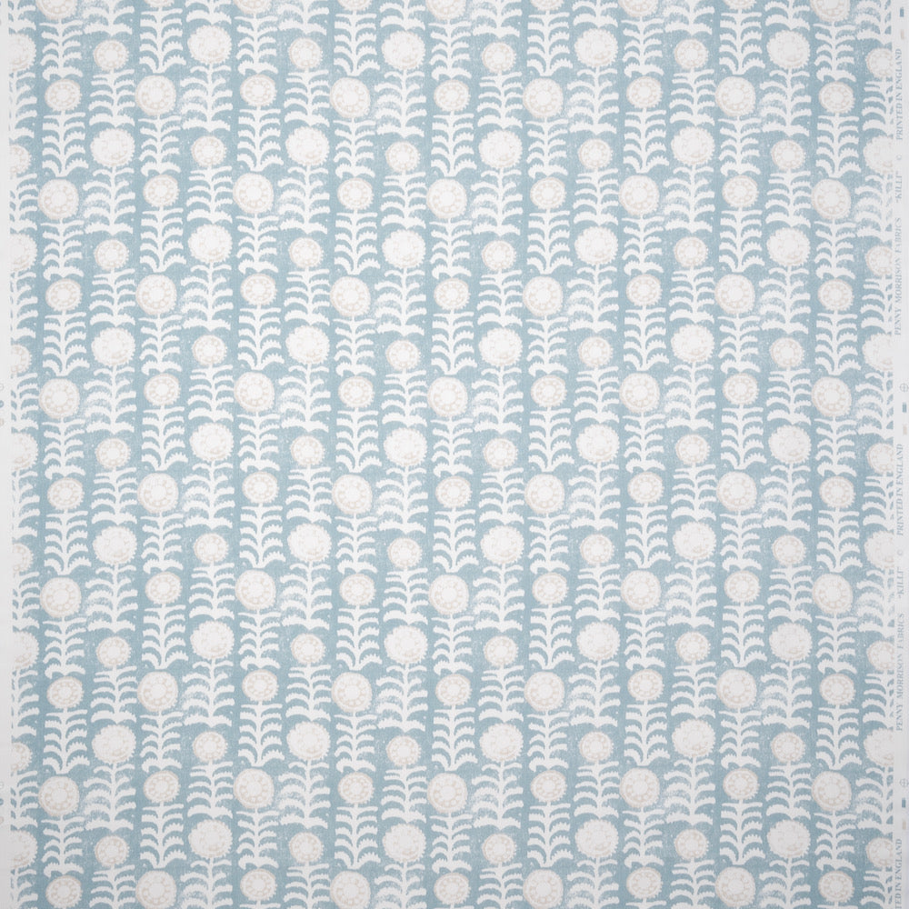 Killi | PM - Blue
