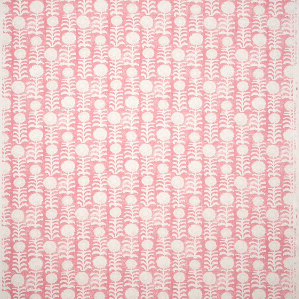 Killi | PM - Pink