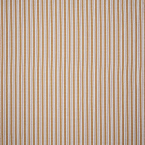 Sketched Stripe | PM