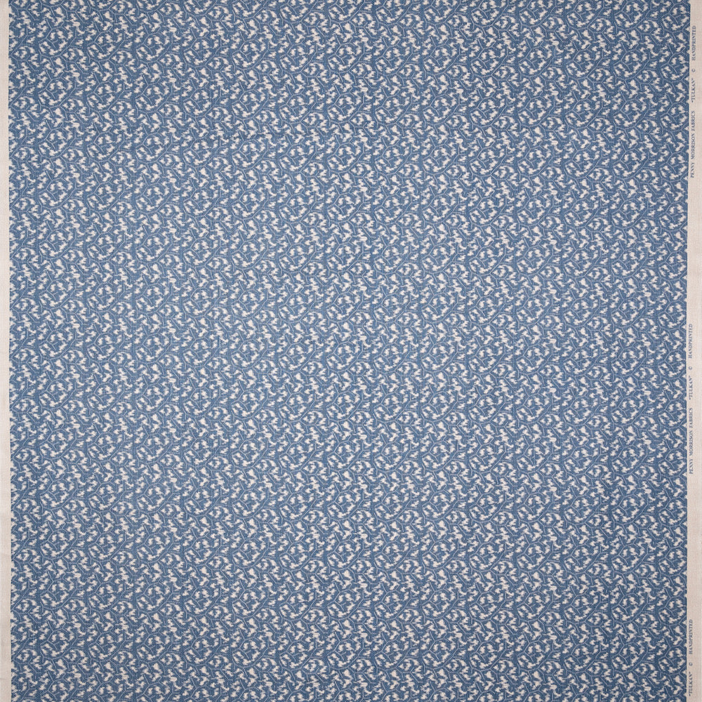Tulkan | PM - Blue