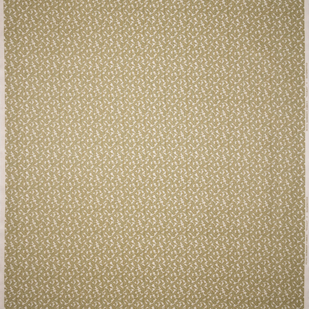 Tulkan | PM - Olive