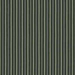 Meknes Stripe | PM