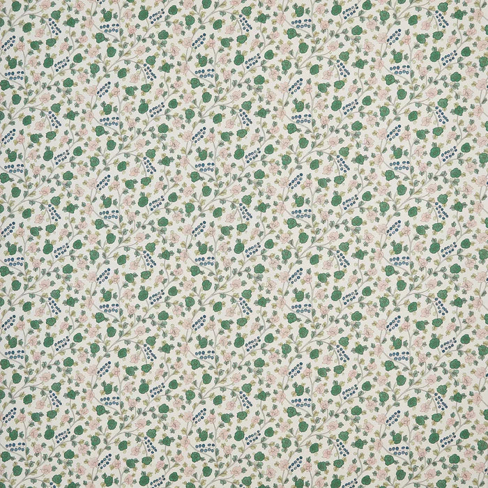 Jaipur Berry WP | SV - Jaipur Berry
