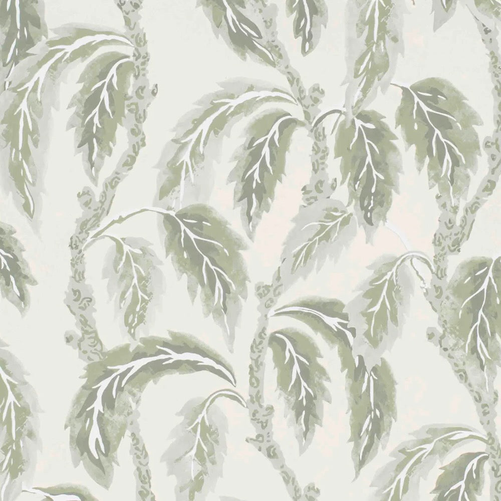 Palm Grove WP | SPD - Green