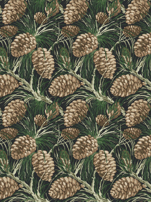 Pinecones WP | NT