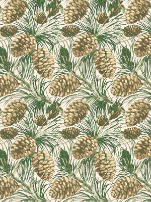 Pinecones WP | NT