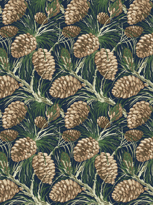 Pinecones WP | NT