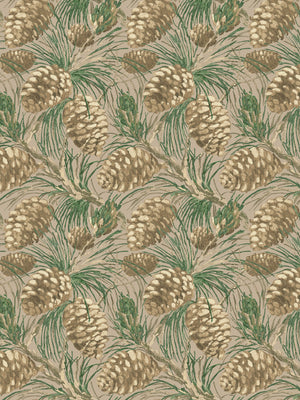 Pinecones WP | NT