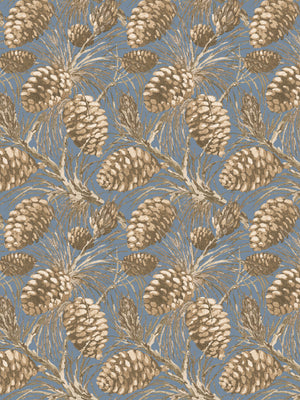 Pinecones WP | NT
