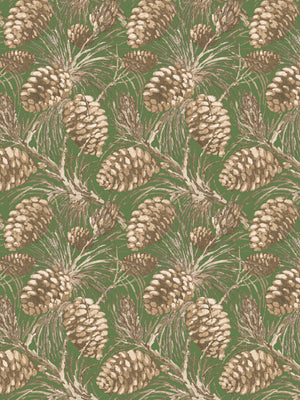 Pinecones WP | NT