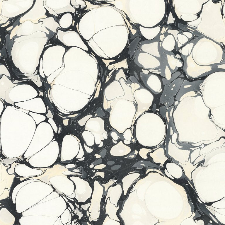 Seastone WP | ROT - Bone China 12' Panel