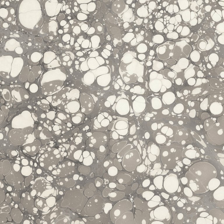 Topo WP | ROT - Cement 12' Panel