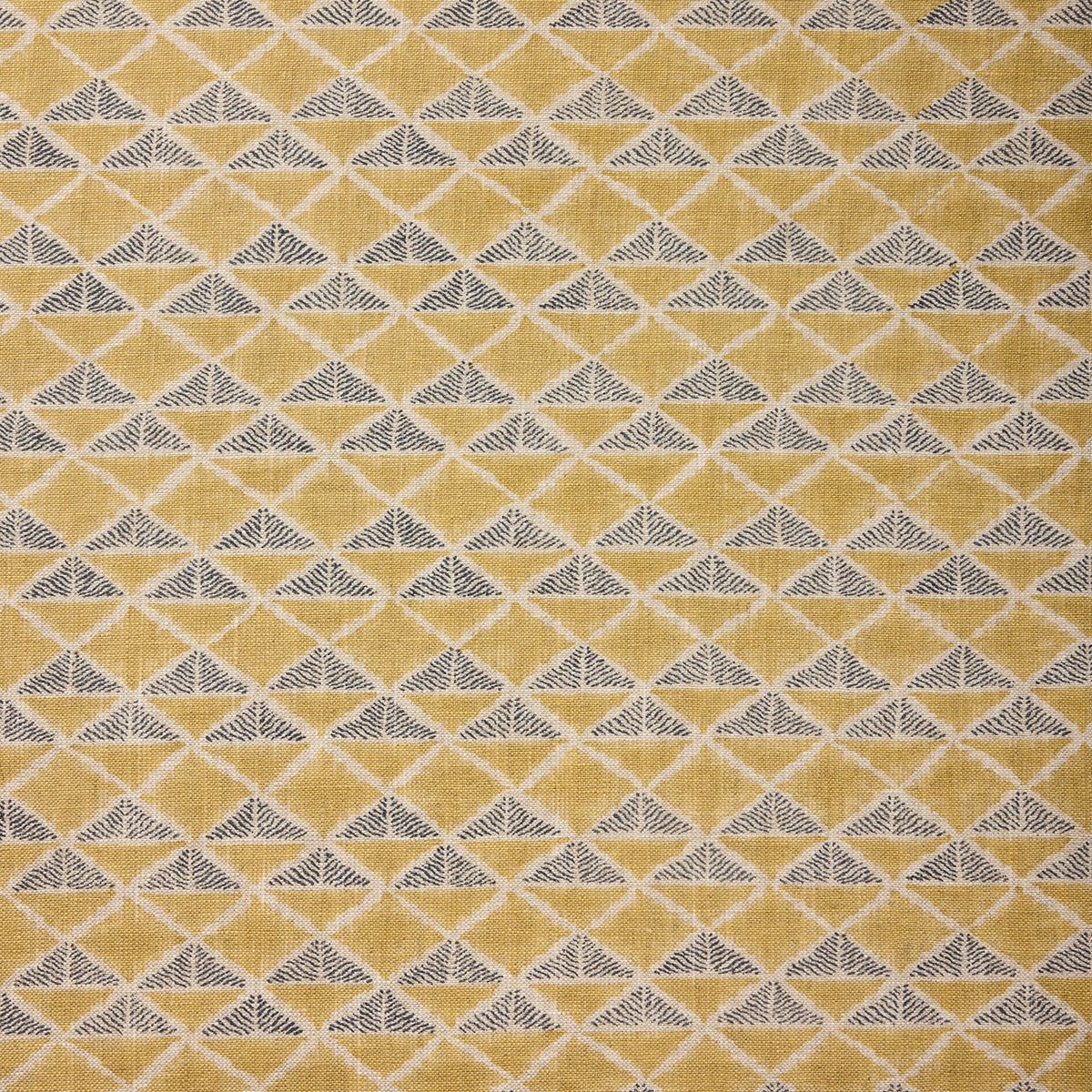 Aravalli | S4 - Jaisalmer