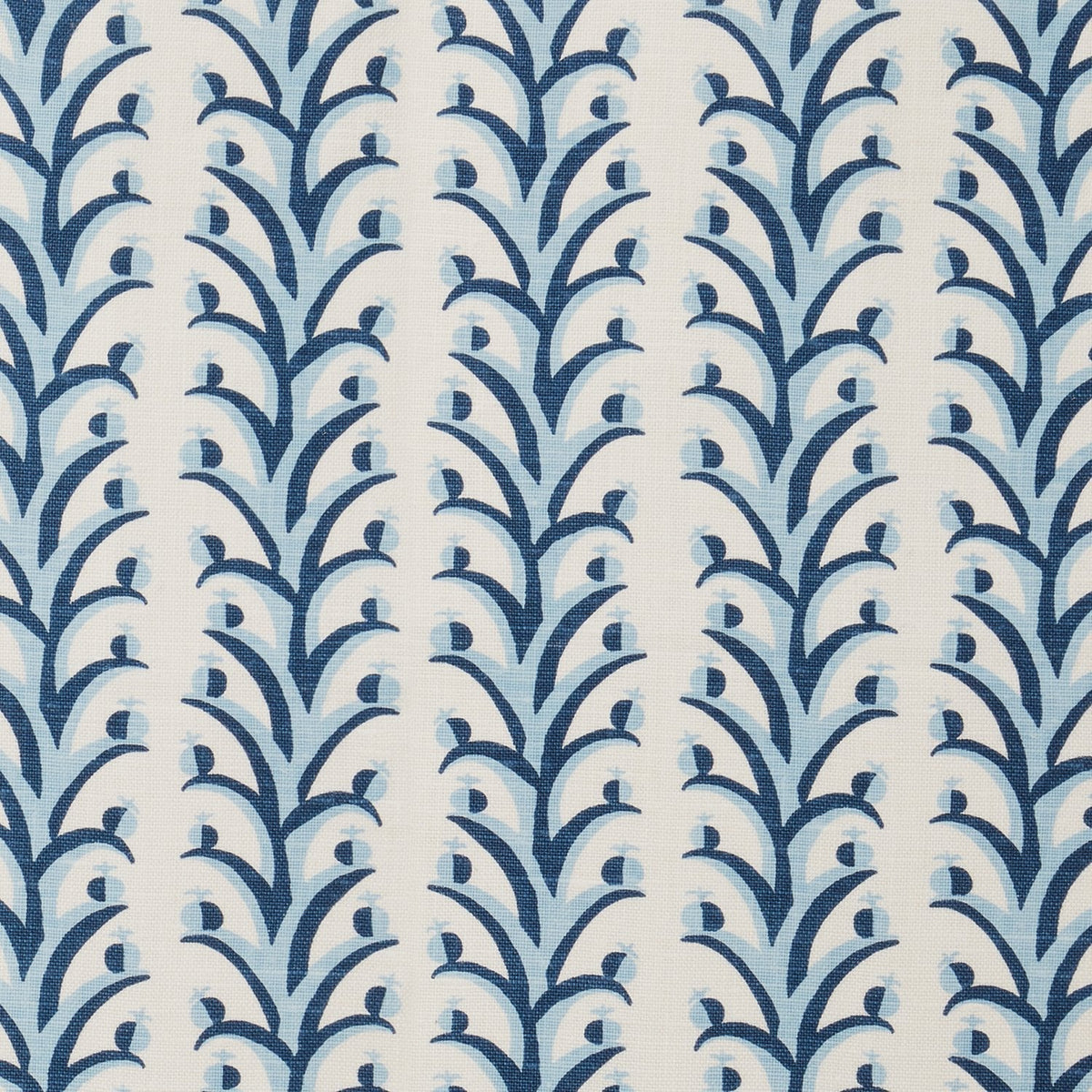 Petite Fruit | S4 - Bluebell