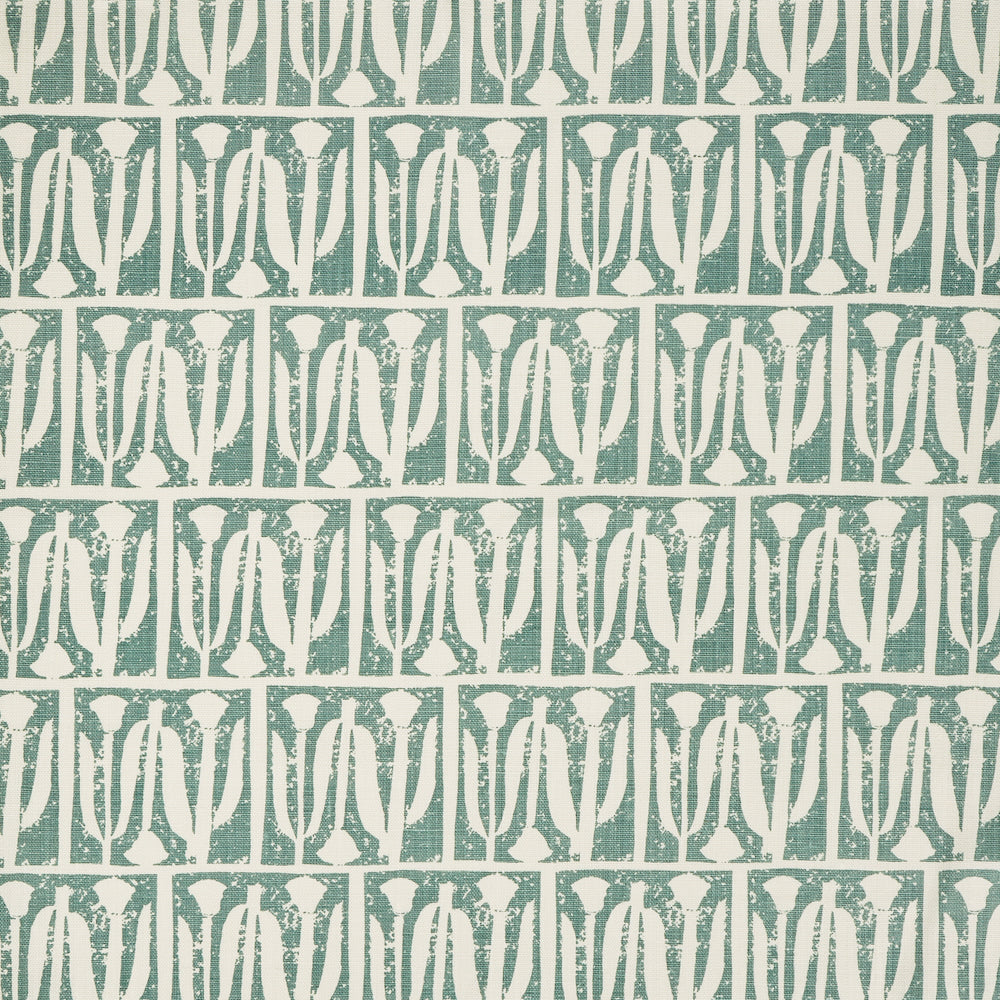 Tulipano | S4 - Acqua