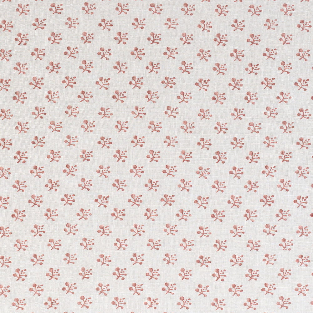 Medlar | SDL - Raspberry