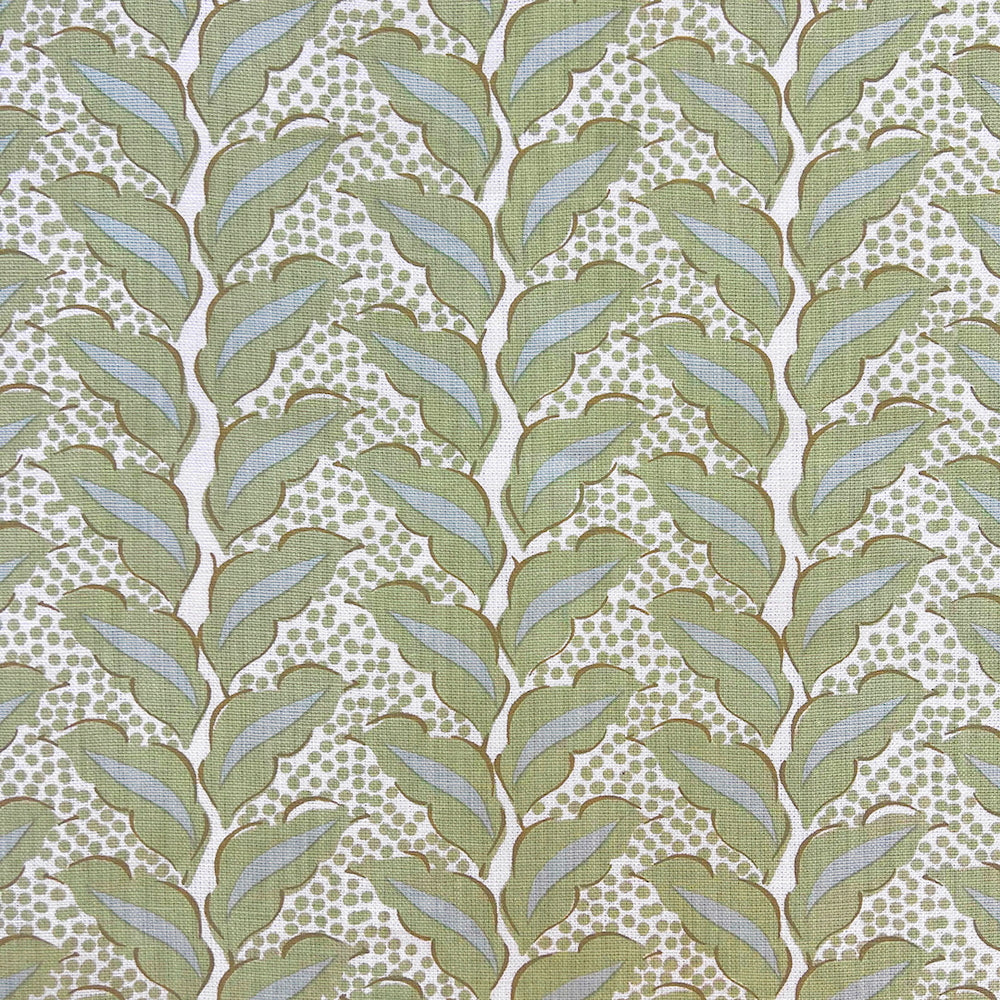 Cassis | SDS - Celadon