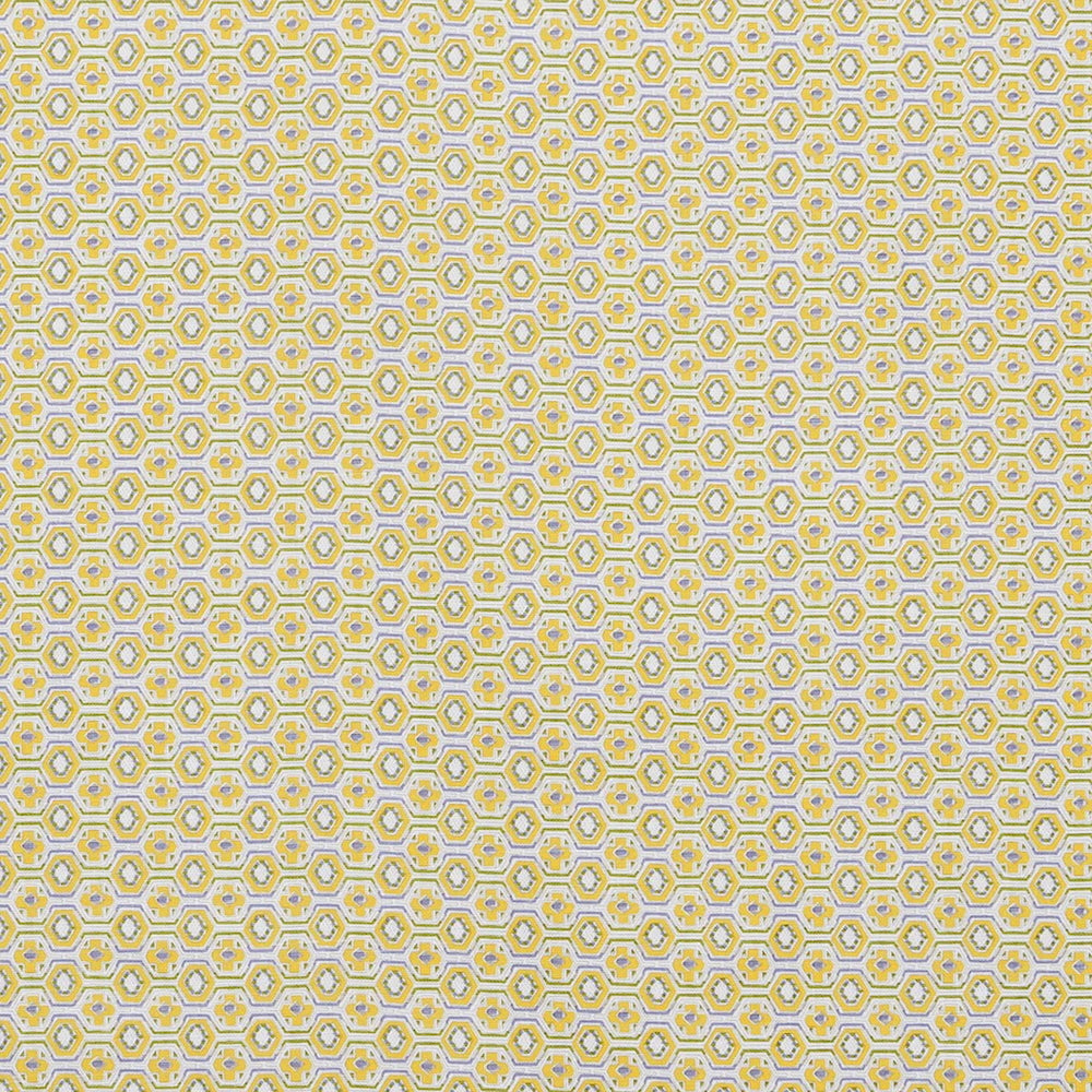 Veneto | SDS - Daffodil
