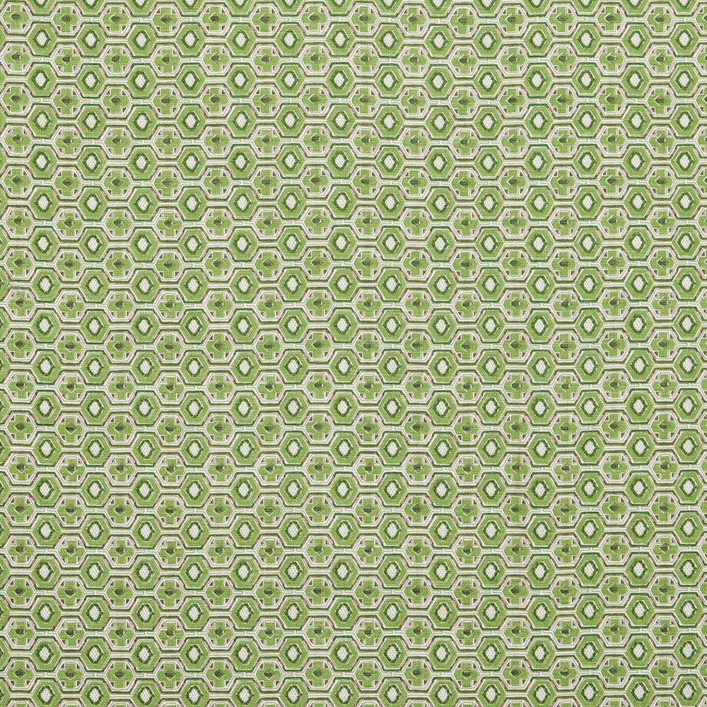 Veneto | SDS - Kelly Green