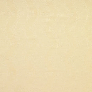 Woven Ribbon | SG