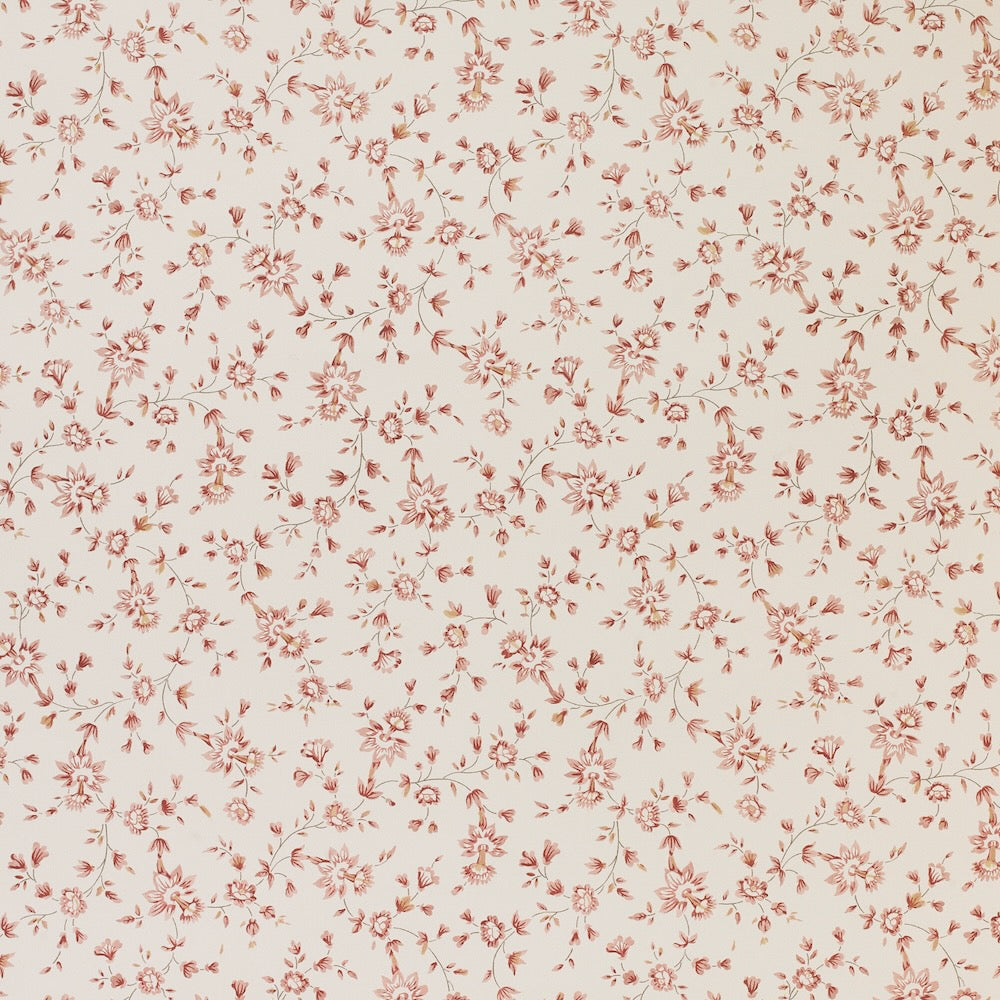 Romilly WP | SG - Rose