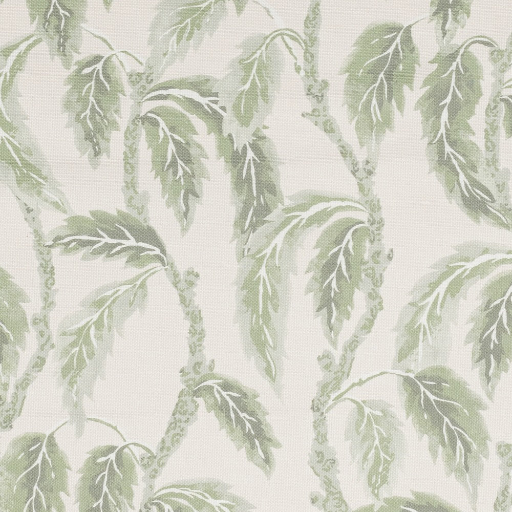 Palm Grove | SPD - Green
