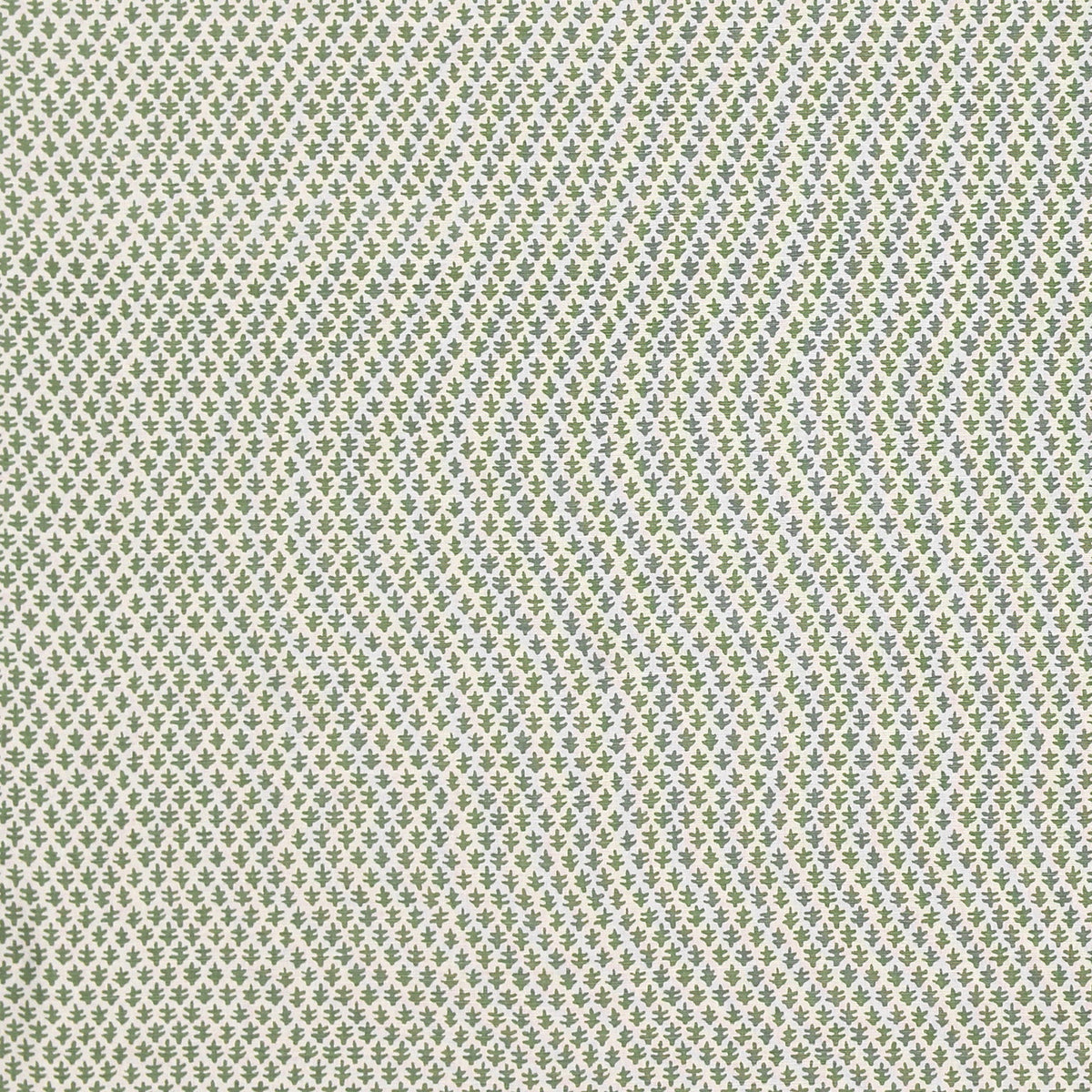 Burmese Linen | SPD - Fern
