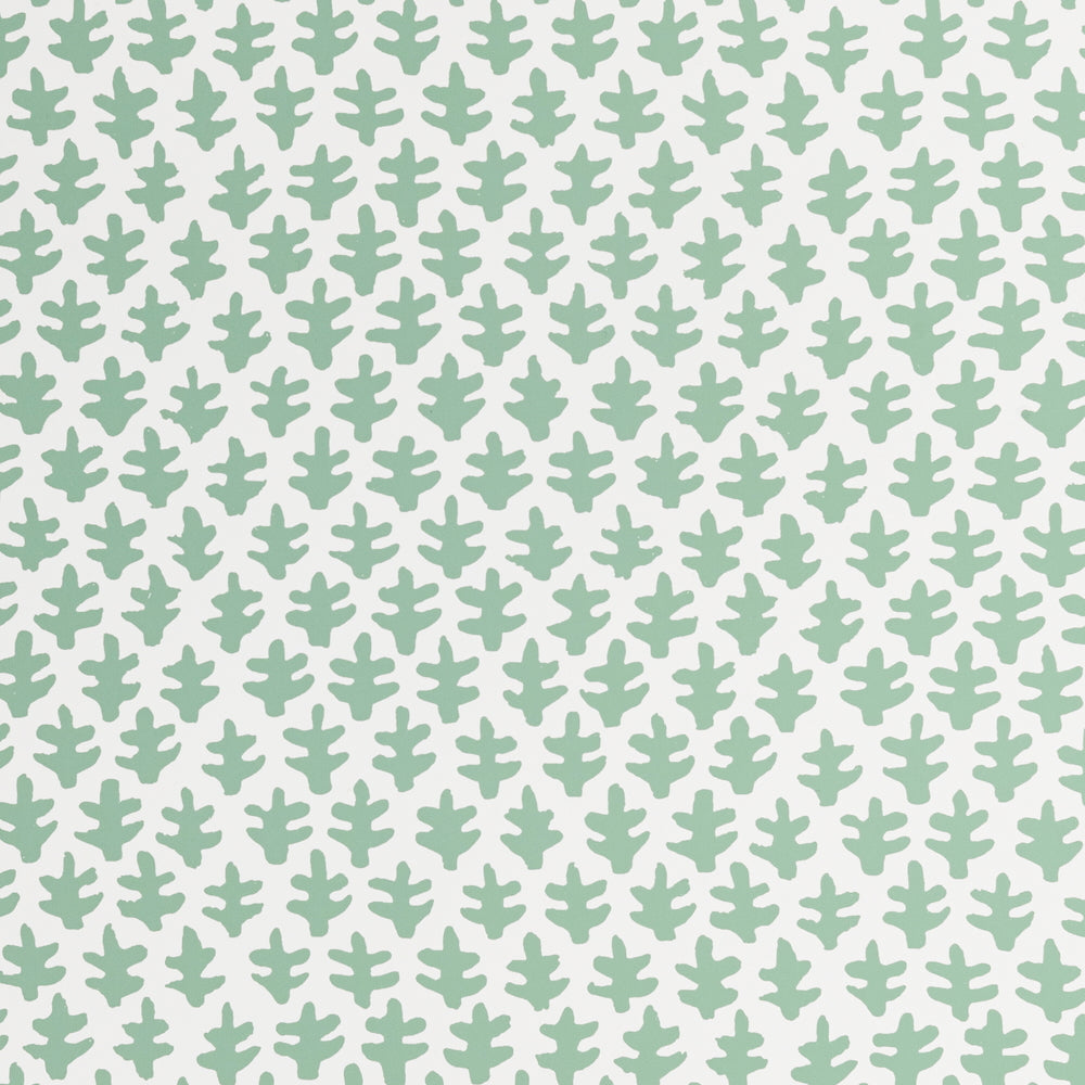 Burmese WP | SPD - Dunmore Green