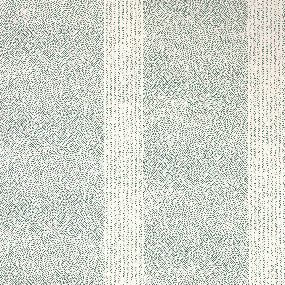 Dot WP | SPD - Fern