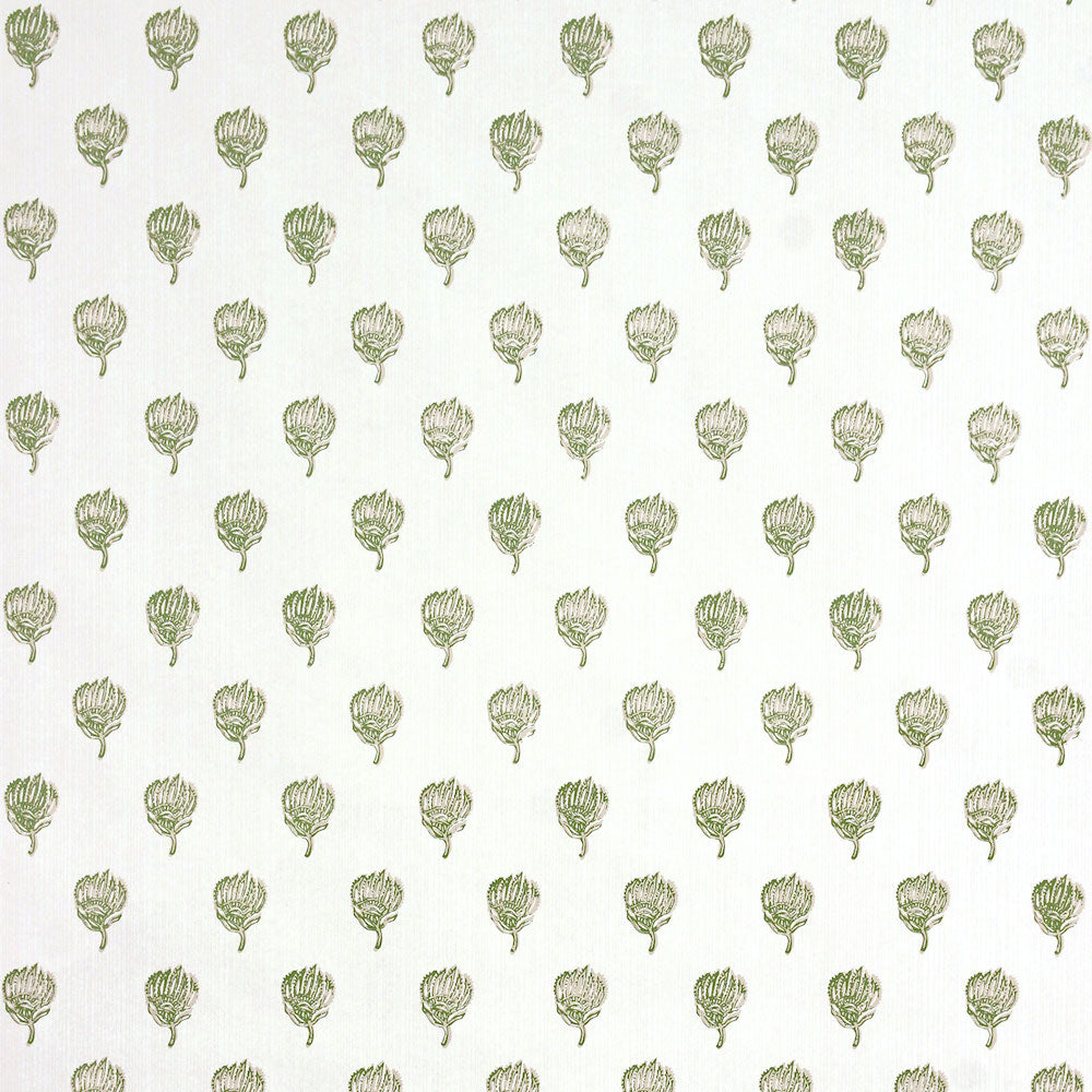 Petite Skukusa WP | SPD - Green