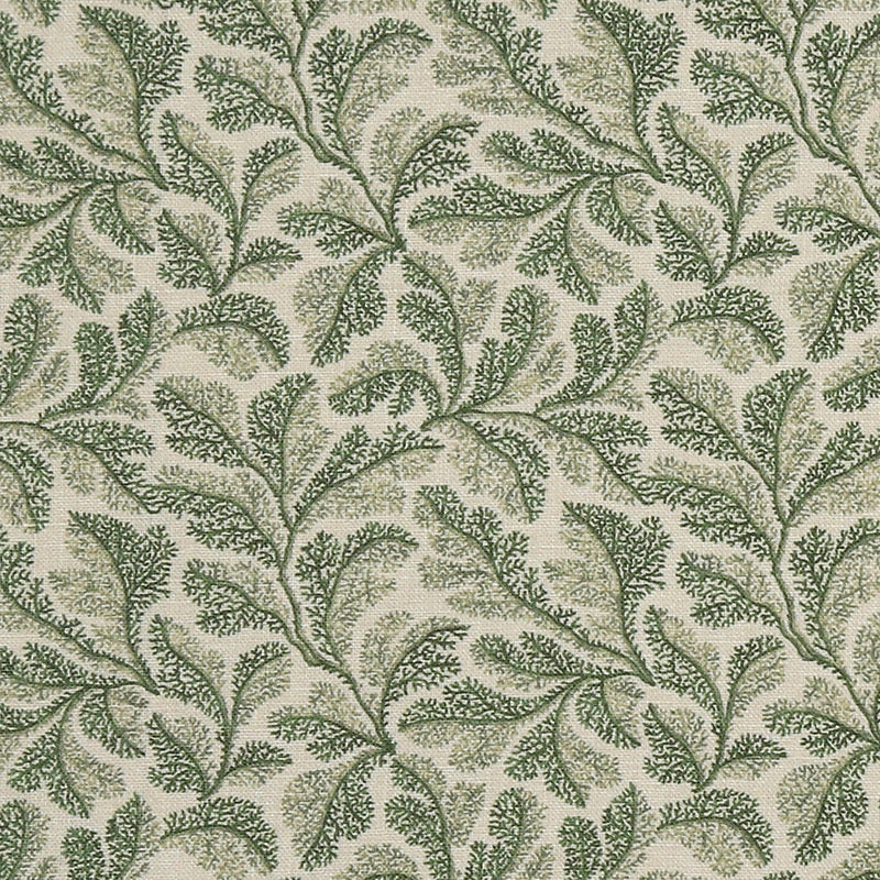 Devon | SST - Moss