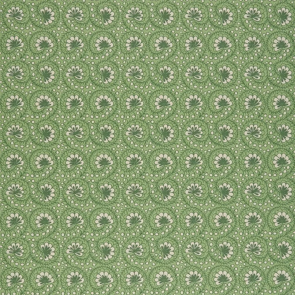 Curly Sue WP | SV - Green Reverse