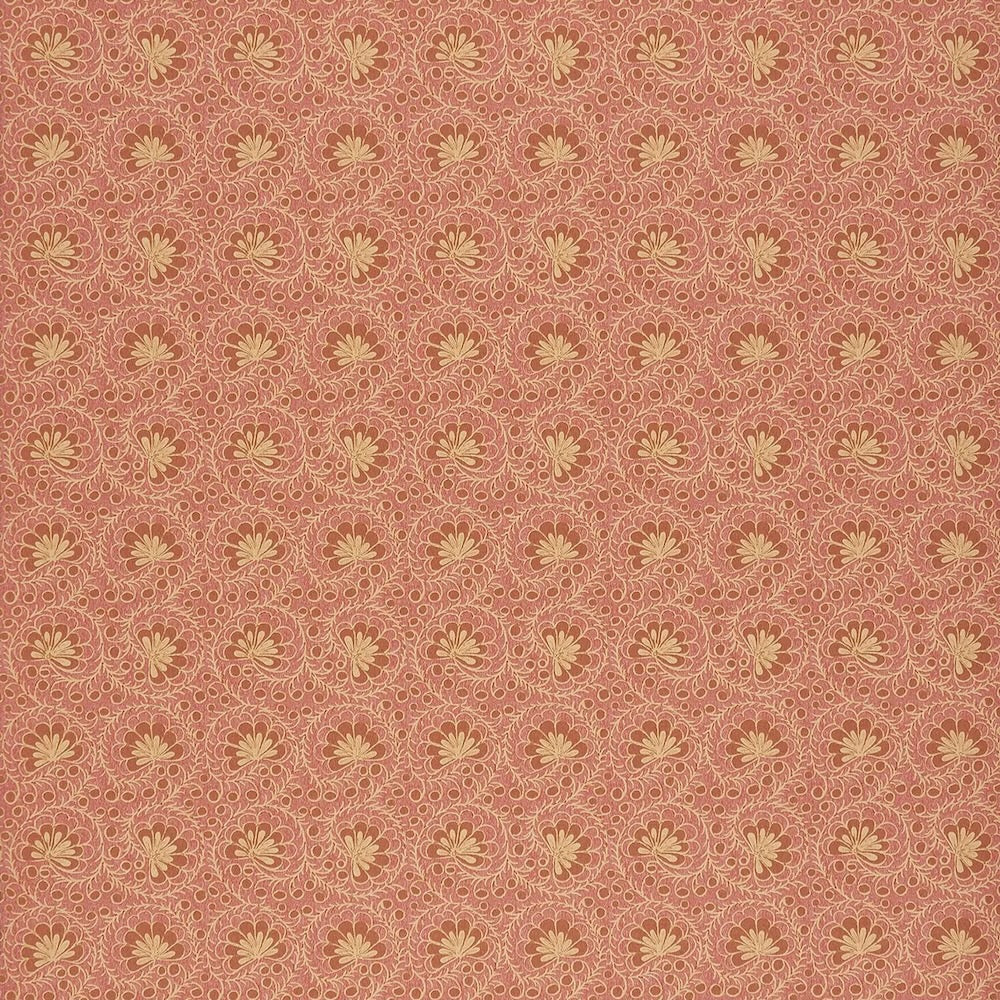 Curly Sue WP | SV - Orange