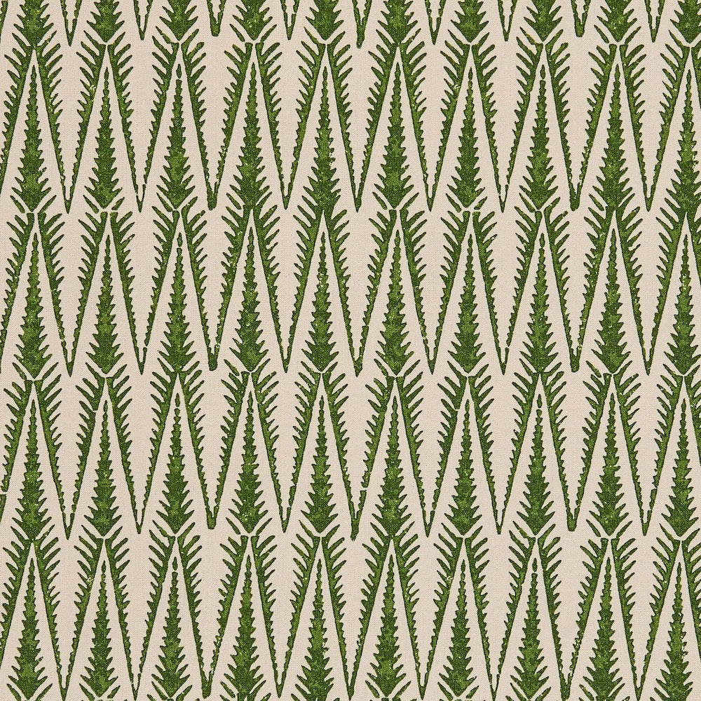 Ziggy  | SV - Grass