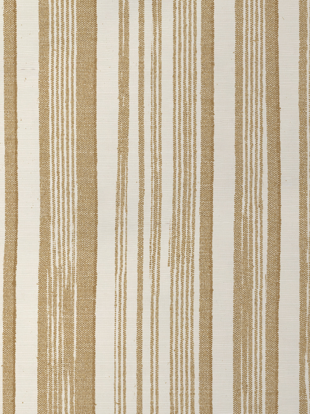 Stuart Stripe GC | NT - Gold