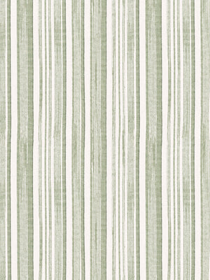 Stuart Stripe WP | NT