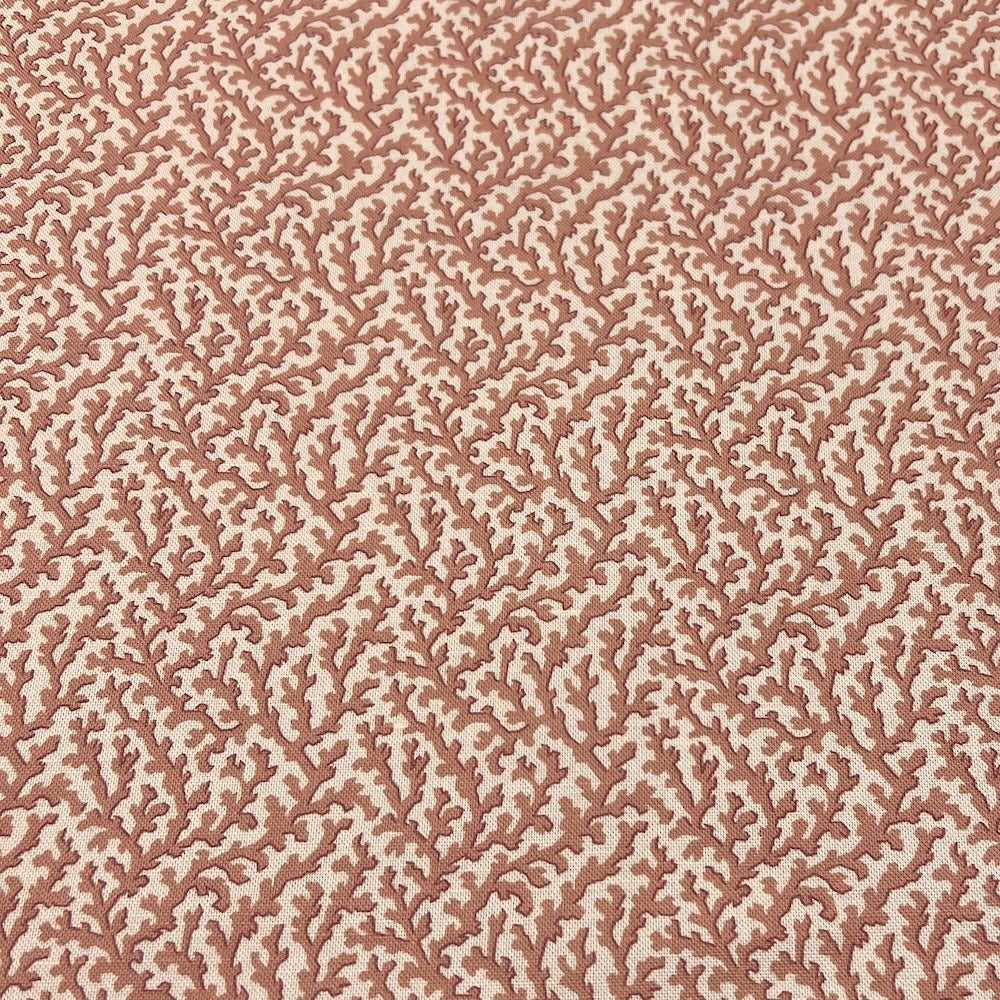 Coralie | TEY - Coral