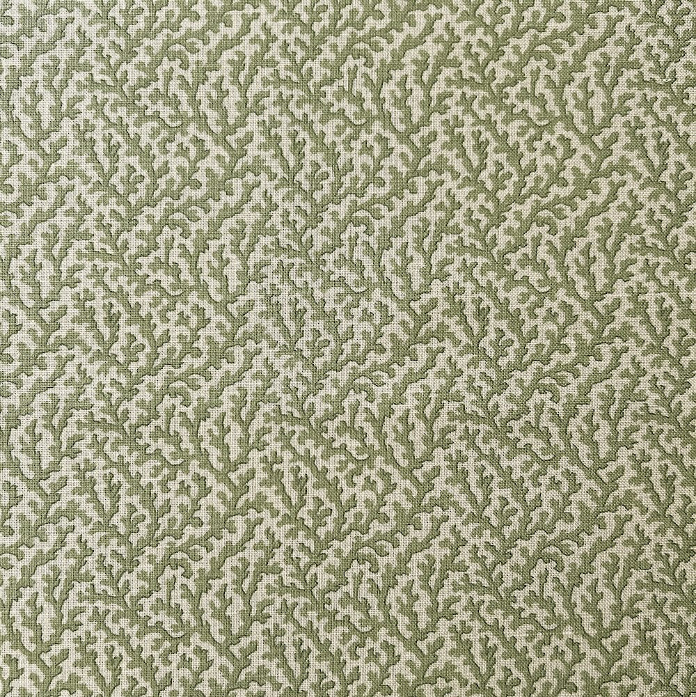 Coralie | TEY - Herb Green
