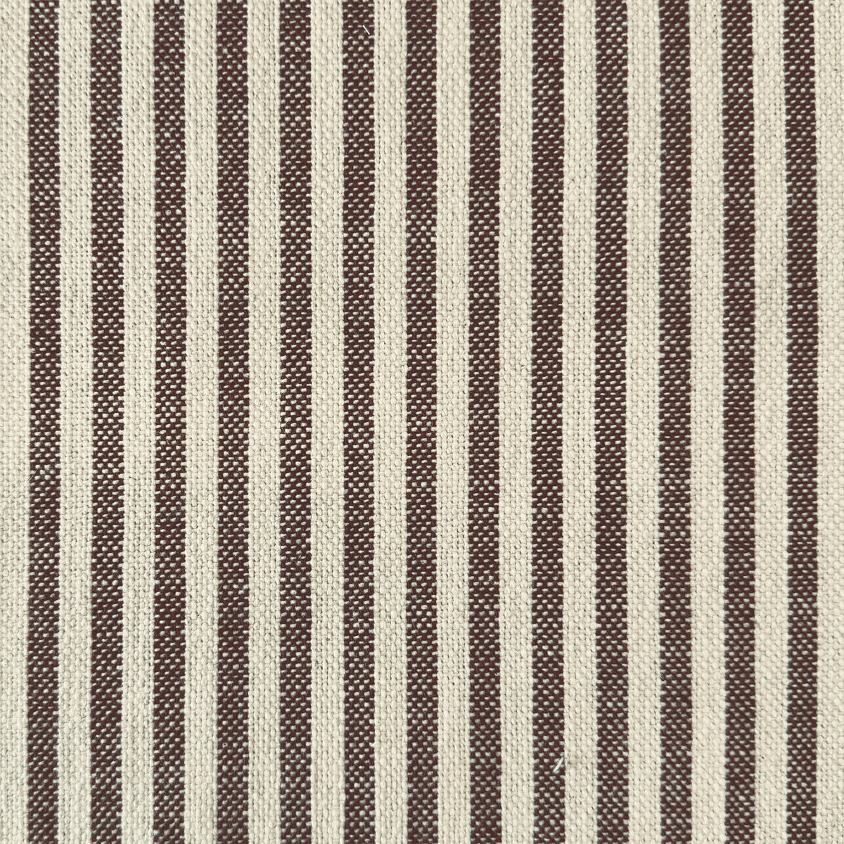 Moroccan Stripe | TEY - Coffee Bean