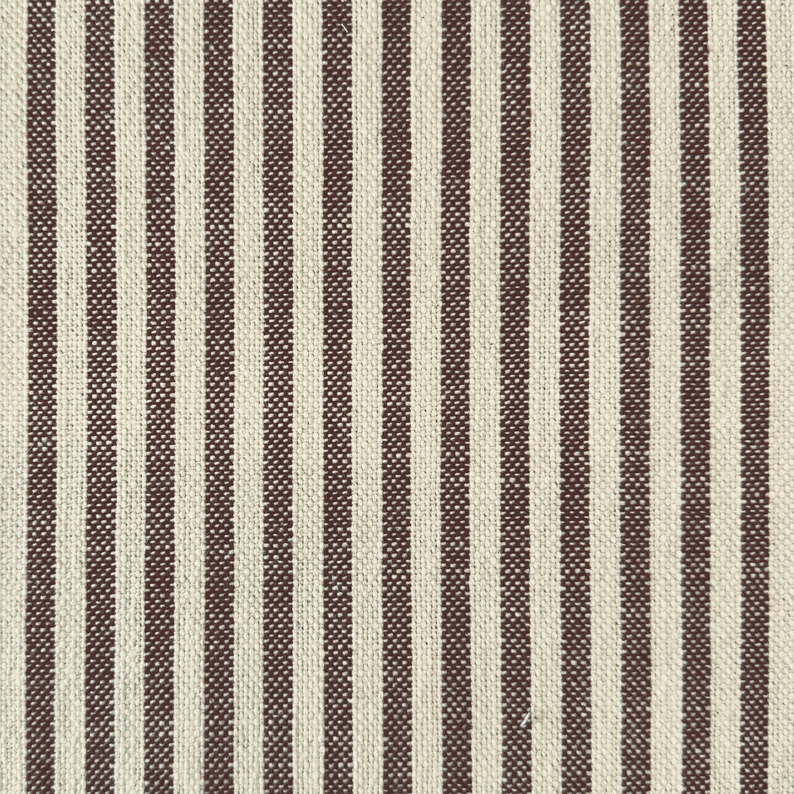 Moroccan Stripe | TEY - Coffee Bean