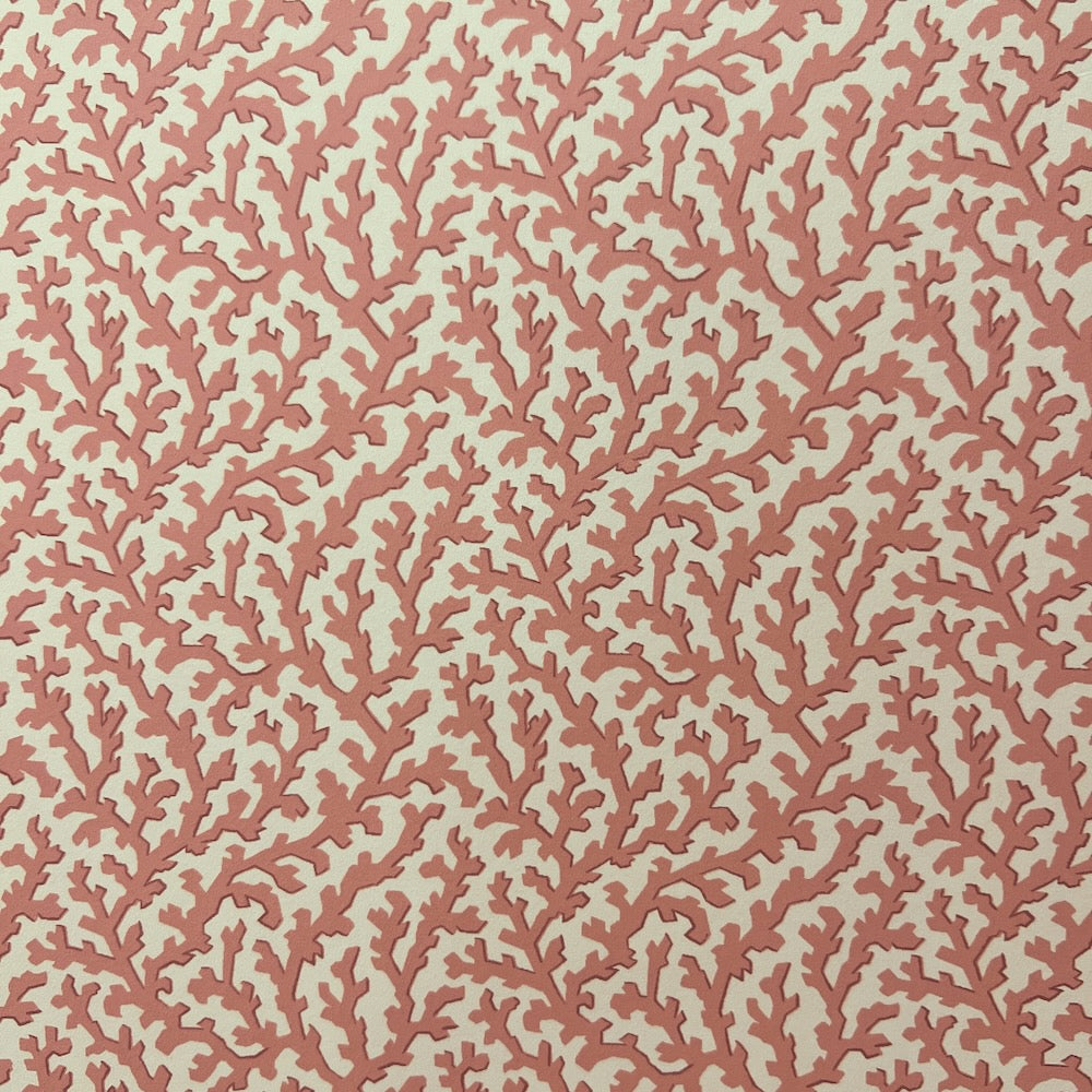 Coralie WP | TEY - Coral