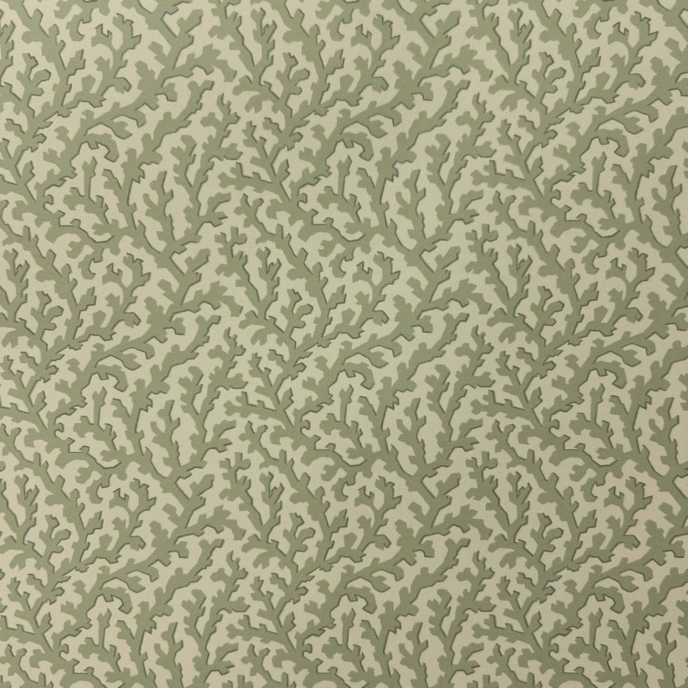 Coralie WP | TEY - Herb Green