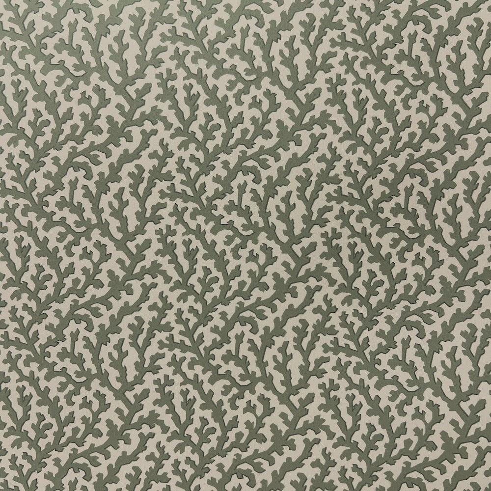 Coralie WP | TEY - Khaki Green