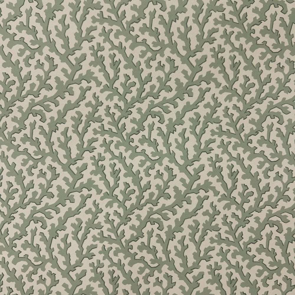 Coralie WP | TEY - Sea Green