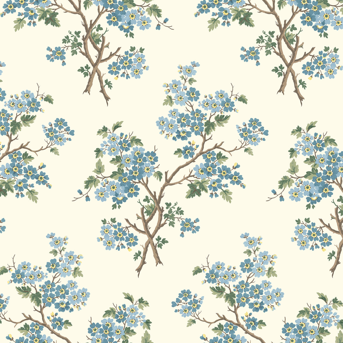Rebecca Grande WP | TEY - Two Blues