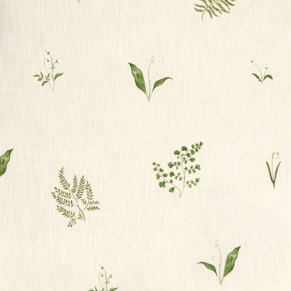 Herbarium Forest | TN - Ivory
