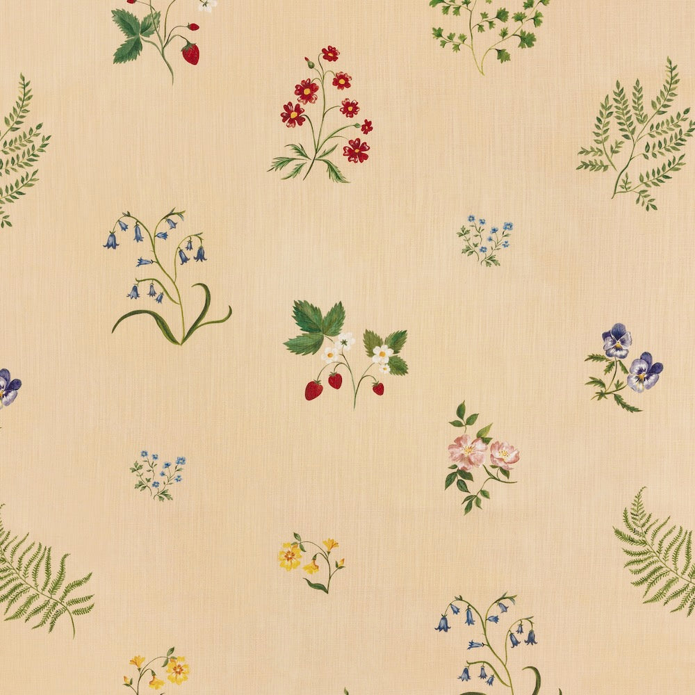 Herbarium Wildflower | TN - Blush